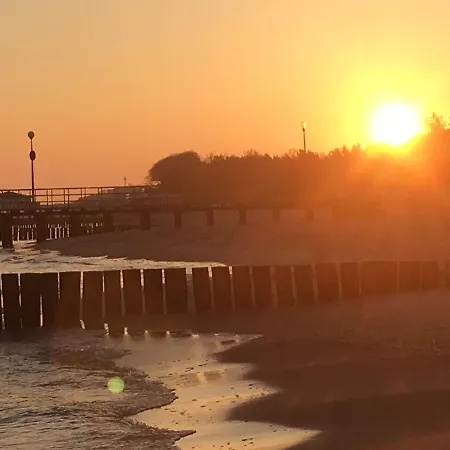 Cztery Pory Roku אוסטרוני מורסקי