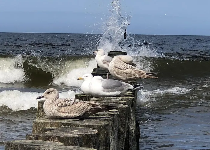 Semesterpark Cztery Pory Roku Ustronie Morskie